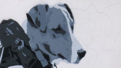 Вуличний художник із Франції залишив малюнки в Чернігові Вуличний художник із Франції залишив малюнки в Чернігові