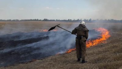 За добу на Херсонщині 30 разів горіло в екосистемах За добу на Херсонщині 30 разів горіло в екосистемах