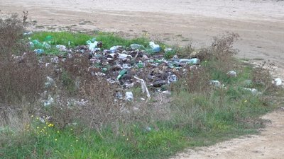 Вміст цинку та свинцю у воді Куяльницького лиману на Одещині перевищує норму у п’ять разів Вміст цинку та свинцю у воді Куяльницького лиману на Одещині перевищує норму у п’ять разів