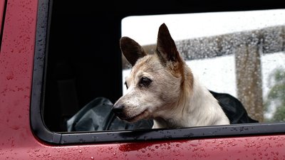 На Черкащині прогнозують похолодання та дощі