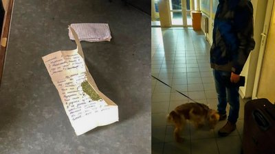 Собака митників Тедді знайшов у кросівках пакунки з канабісом Собака митників Тедді знайшов у кросівках пакунки з канабісом