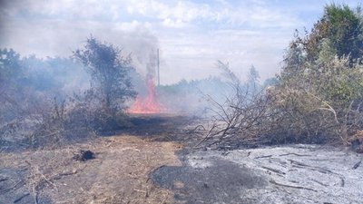 За добу на Херсонщині сталась 21 пожежа на відкритих територіях