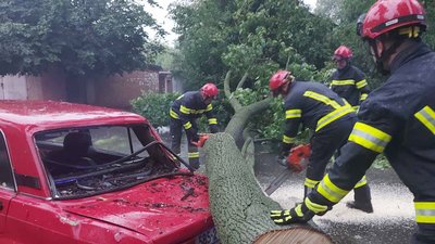Повалені дерева та знеструмлені населені пункти: на Хмельниччині вирувала негода