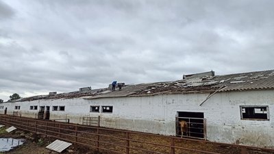 Зруйнований ліс і зірвані дахи: у громаді на Волині досі ліквідовують наслідки буревію Зруйнований ліс і зірвані дахи: у громаді на Волині досі ліквідовують наслідки буревію