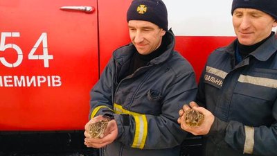 На Львівщині загасили понад 200 пожеж сухої трави