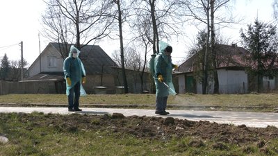 36 заробітчан в селі Голинь на Прикарпатті перебувають на самоізоляції