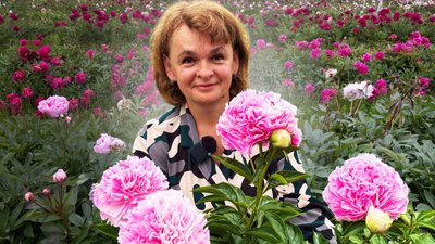 Оксана Юрченко, півонії