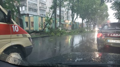 Негода у Сумах: дощ, шквали вітру та повалені дерева (фото)