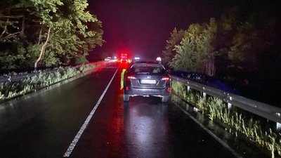 За минулу добу на дорогах Львівщини загинуло двоє пішоходів