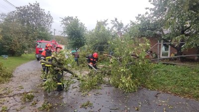 Повалені дерева та відустність електропостачання — наслідки негоди на Вінниччині Повалені дерева та відустність електропостачання — наслідки негоди на Вінниччині