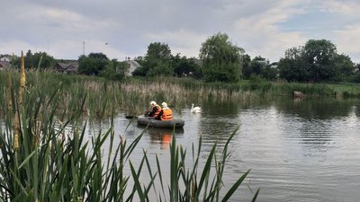 У Благовіщенському рятувальники визволили з сіток двох лебедів