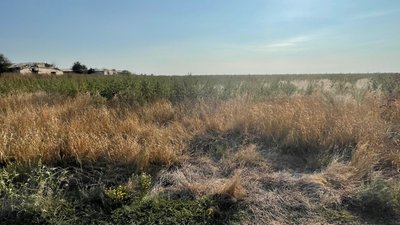 На Миколаївщині орендодавці пайових земель чекають на виплати за 2022 рік На Миколаївщині орендодавці пайових земель чекають на виплати за 2022 рік