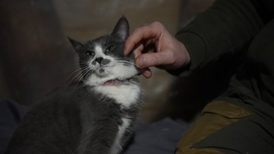 "Я двічі втратив дім": військовий з позивним “Админ” про будні у бригаді ТРО "Я двічі втратив дім": військовий з позивним “Админ” про будні у бригаді ТРО
