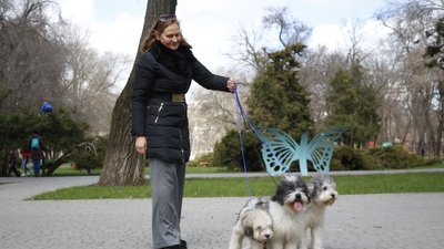 Хто вони – одіси з Одеси. Історія першої та єдиної української декоративної породи собак Хто вони – одіси з Одеси. Історія першої та єдиної української декоративної породи собак