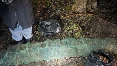 На Черкащині незаконно виловили раків