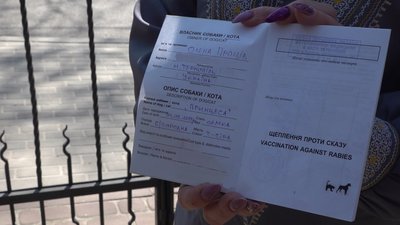 У Тернополі в бібліотеці живе кішка Принцеса У Тернополі в бібліотеці живе кішка Принцеса