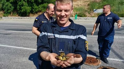 Харківські рятувальники дістали з колодязя родину каченят