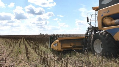 Жнивна кампанія Жнивна кампанія