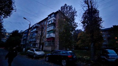 У Броварах невідомі застрелили собаку. Поліція відкрила провадження