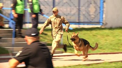 У Житомирі розпочалися Всеукраїнські змагання з багатоборства кінологів У Житомирі розпочалися Всеукраїнські змагання з багатоборства кінологів