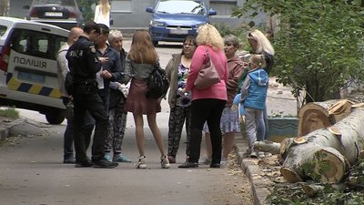 У Запоріжжі та області почастішали випадки незаконної вирубки дерев