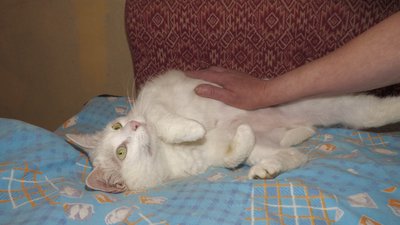 Живуть у підвалі та чекають на ремонт квартири: історія жительок Північної Салтівки Живуть у підвалі та чекають на ремонт квартири: історія жительок Північної Салтівки