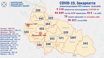 COVID-19 на Закарпатті: 42 одужали, 79 захворіли COVID-19 на Закарпатті: 42 одужали, 79 захворіли