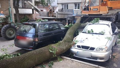У Рівному дерево й стовп упали на кілька машин У Рівному дерево й стовп упали на кілька машин