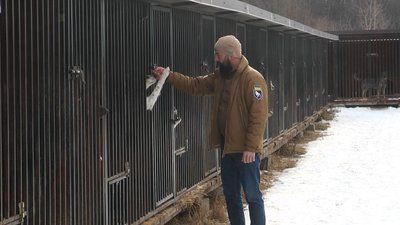 На Франківщині планують добудувати вольєри в "Домі Сірка" На Франківщині планують добудувати вольєри в "Домі Сірка"