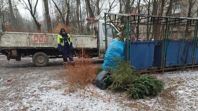 На Закарпатті з натуральних ялинок після новорічних свят виготовлять паливні брикети На Закарпатті з натуральних ялинок після новорічних свят виготовлять паливні брикети