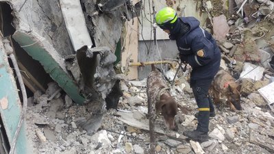 Кінологи Сумщини, які допомагали шукати людей під завалами багатоповерхівки, повернулися з Дніпра Кінологи Сумщини, які допомагали шукати людей під завалами багатоповерхівки, повернулися з Дніпра