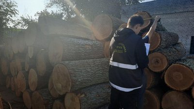 Понад півсотні колод незаконно зрубаного дуба вилучили волинські поліцейські Понад півсотні колод незаконно зрубаного дуба вилучили волинські поліцейські