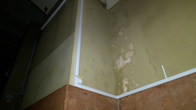 Розпис органного залу Розпис органного залу