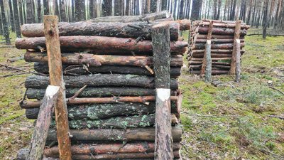 Заготівля, запаси, ціни: яка ситуація з дровами на Волині Заготівля, запаси, ціни: яка ситуація з дровами на Волині
