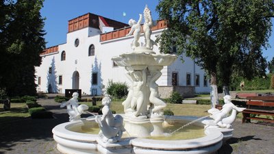 Проєкт реконструкції замкового дворища в Дубні розроблять студенти у рамках конкурсу