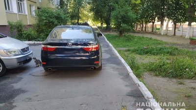 У Рівному під колесами авто загинула жінка. Що відомо про ДТП У Рівному під колесами авто загинула жінка. Що відомо про ДТП