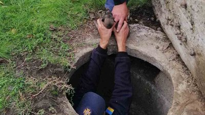 Рятувальники на Херсонщині дістали із колодязя цуценят