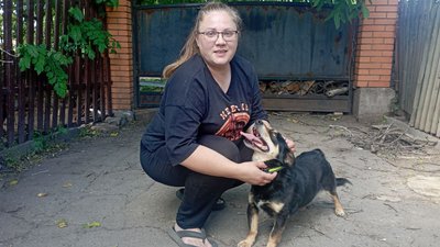 Тварини, евакуація, Харків, Кривий Ріг