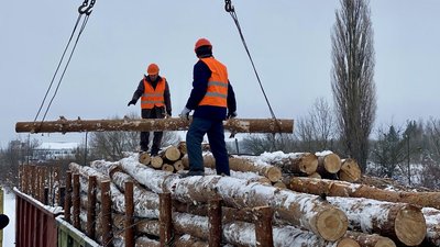 Лісівники вантажать деревину у вагони