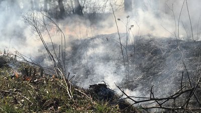 20 мільйонів збитків і одне кримінальне провадження - пожежі на Прикарпатті 20 мільйонів збитків і одне кримінальне провадження - пожежі на Прикарпатті
