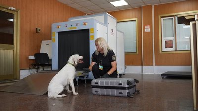 На Вінниччині службові собаки допомогли митникам виявити майже 40 порушень з початку року
