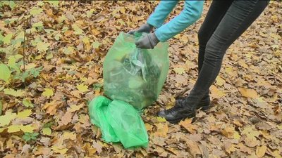 У Вінниці прибирали Лісопарк від сміття У Вінниці прибирали Лісопарк від сміття