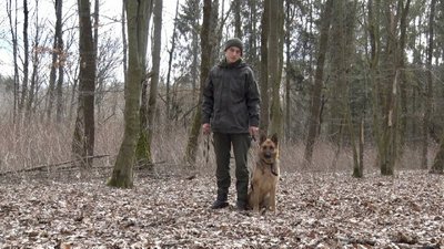 Тренування службових собак: як працюють кінологи Нацгвардії в Тернополі Тренування службових собак: як працюють кінологи Нацгвардії в Тернополі