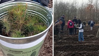 На Кіровоградщині долучилися до Всеукраїнської акції "Садимо ліси разом"
