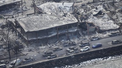 На Гаваях зросла кількість загиблих внаслідок лісових пожеж, рятувальна операція триває