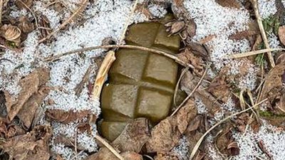 Гранати, боєприпаси, поліція, лісівник, Ялинка Гранати, боєприпаси, поліція, лісівник, Ялинка