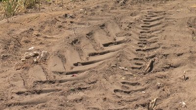 Миколаївці виступають проти забудівлі в “зеленій зоні” вулиці Леваневців Миколаївці виступають проти забудівлі в “зеленій зоні” вулиці Леваневців