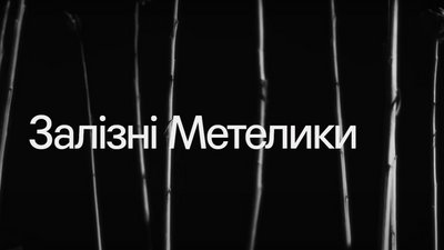 У Франківську показали документальну стрічку про збиття військовими РФ "Боїнга" рейсу MH17 "Залізні метелики"