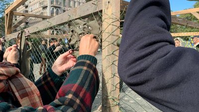 В Одесі святкують день захисників та захисниць В Одесі святкують день захисників та захисниць