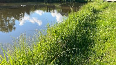 купання, заборона, водойми, кишкова паличка